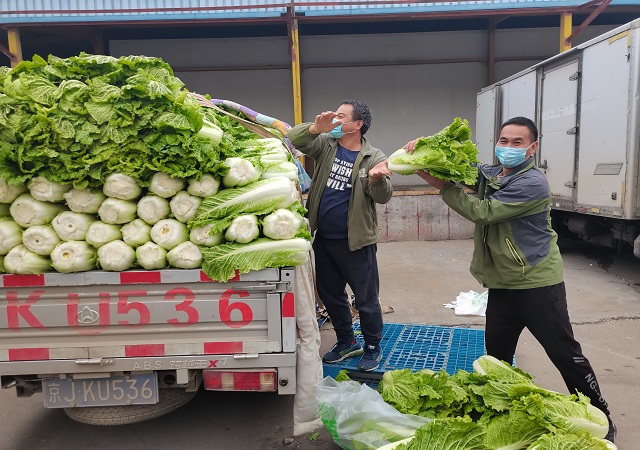 江南在线加大“冬储菜”调运，全力做好保供稳价